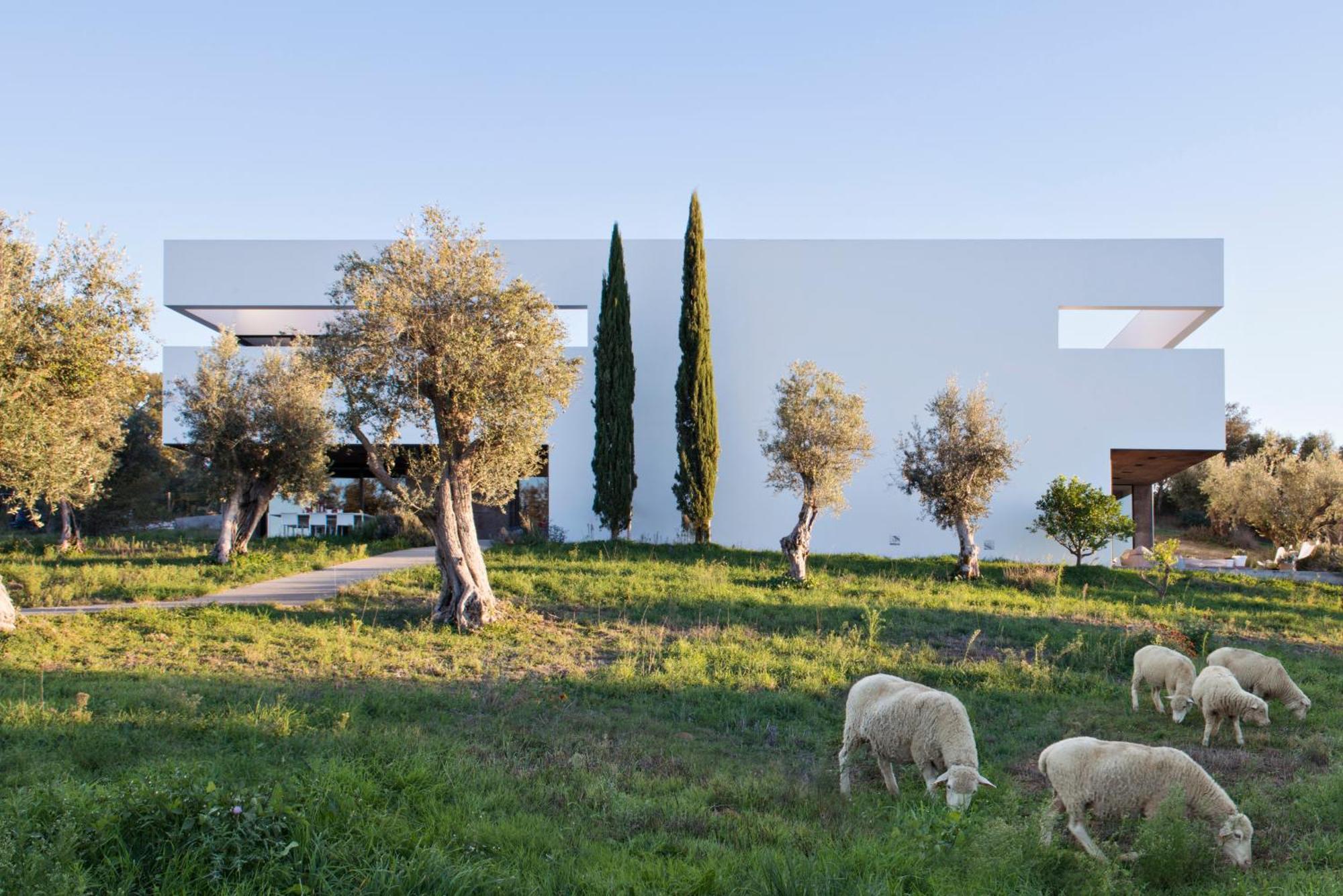 Villa Extramuros Arraiolos Exterior photo